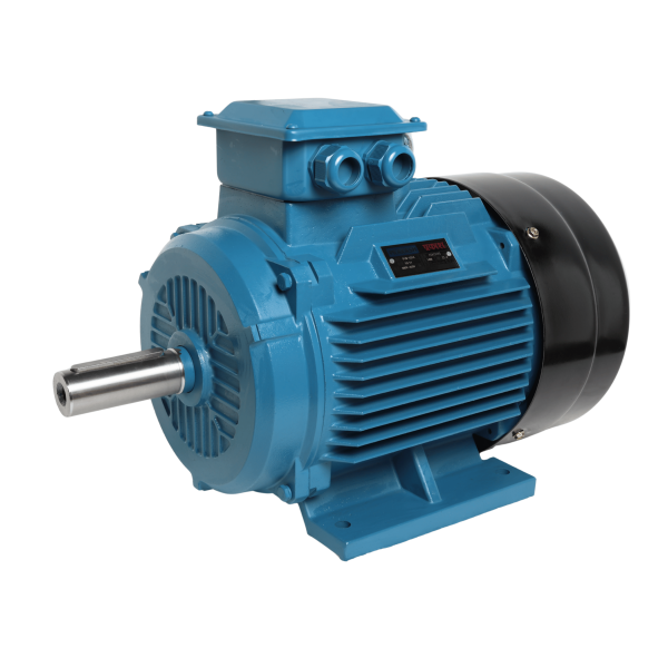 Prakash Induction Motor Three Phase 1400 & 2900 RPM