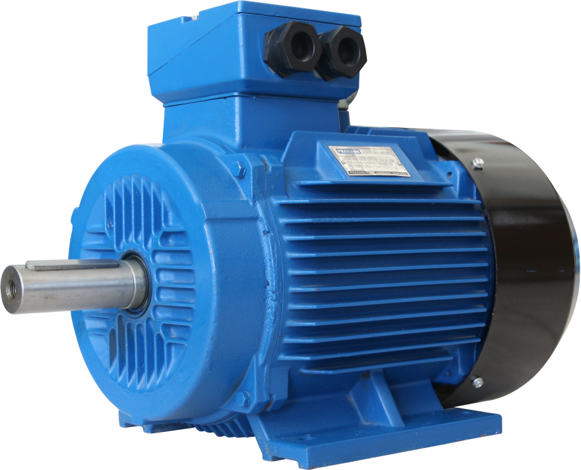 Prakash Induction Motor Three Phase PIM-3PH